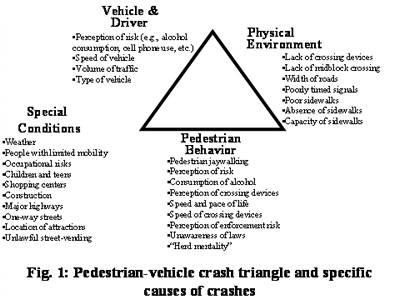 Pedestrian-vehicle crash traingle and specific causes of crashes