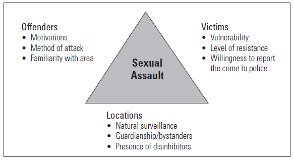 Fig. 1. Sexual assault analysis triangle.