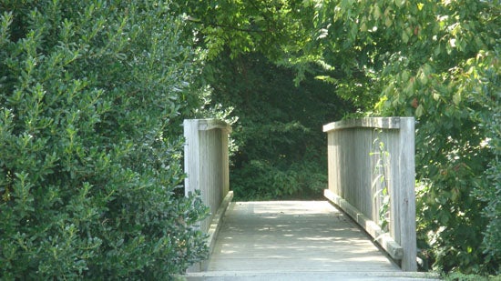 Dense tree and shrub planting that obscures the view from open spaces
may encourage misuse and pose threats to pedestrians using footpaths.