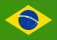 Brazilian Flag