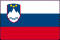 Slovenian Flag